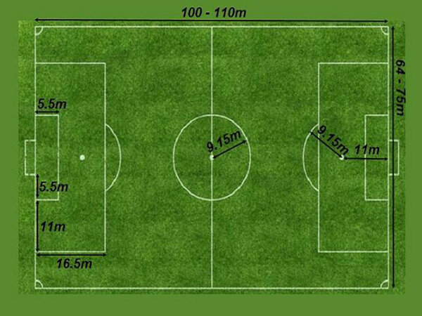 Luật bóng đá 11 người mới nhất theo tiêu chuẩn của FIFA và VFF